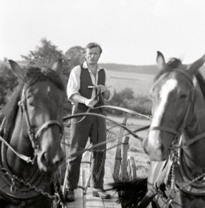 Dobrý trávníkář, dobrý sedlák.