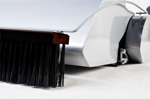 Detail koštete na rosu.