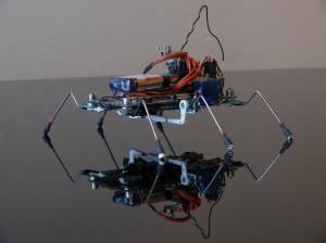 Pavouk od Marka Votroubka