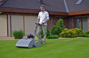 Tomas_Sena_cylinderlawnmower