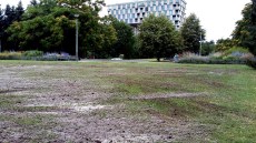 Centralni-park-topdressing